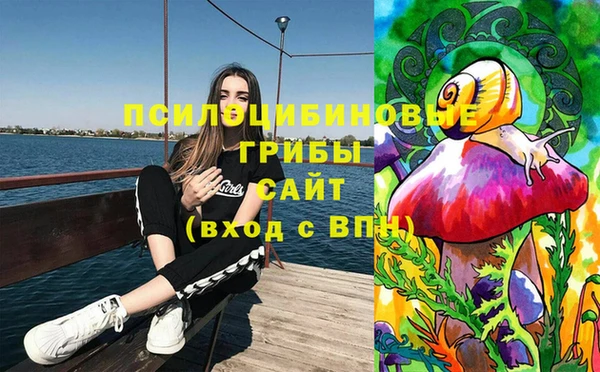 дурь Белокуриха