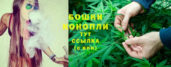дурь Белокуриха