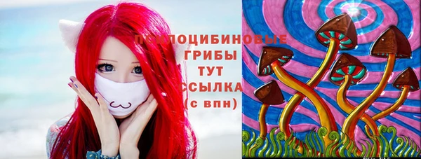 дурь Белокуриха