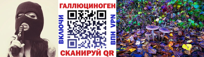 хочу   Покровск  Псилоцибиновые грибы Cubensis 
